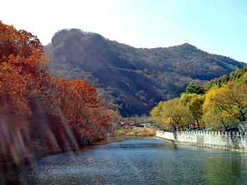 新澳天天彩免费资料大全查询，重生种田生活